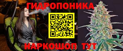 ГАЛЛЮЦИНОГЕННЫЕ ГРИБЫ Ипатово