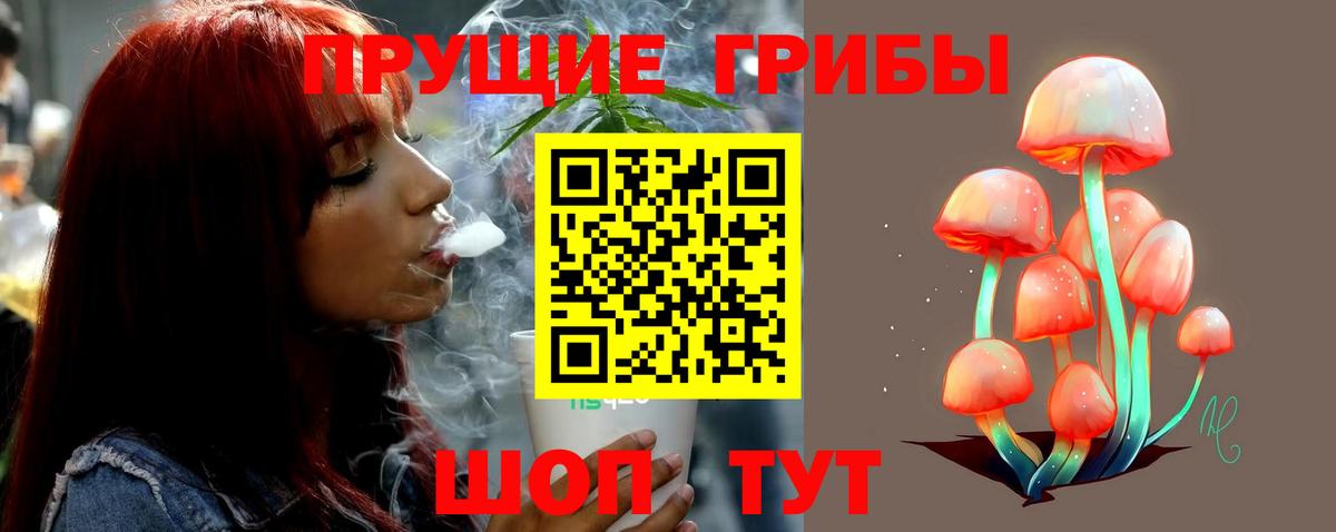 Галлюциногенные грибы Psilocybe Лесосибирск